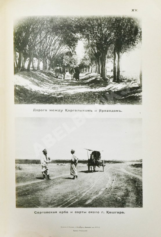 Антикварная книга Новицкий, В.Ф. Из Индии в Фергану