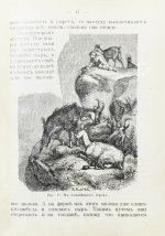 Величкина, В.М. Швейцария