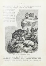 Величкина, В.М. Швейцария