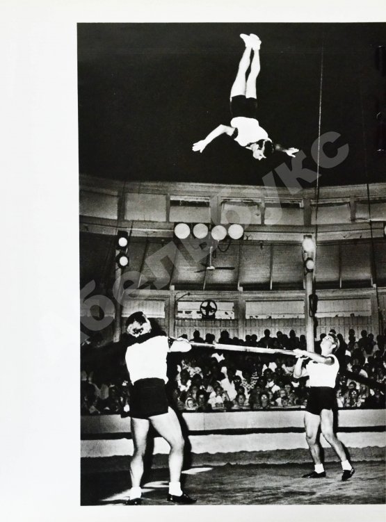 Антикварная книга [автограф Леонида Енгибарова] Кривенко, Н.В. Волшебная Чаша