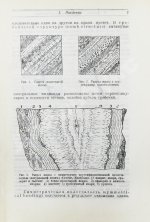 Эммонс, В.Г. Введение в учение о рудных месторождениях