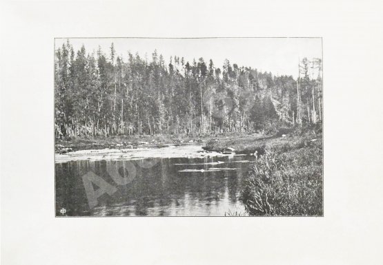 Антикварная книга Чаплеевский, К.Б. Тайга и золото