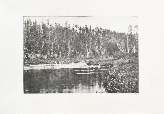 Антикварная книга Чаплеевский, К.Б. Тайга и золото