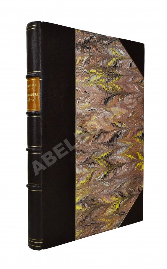 Антикварная книга Шуляченко, А.Р. Технология железа