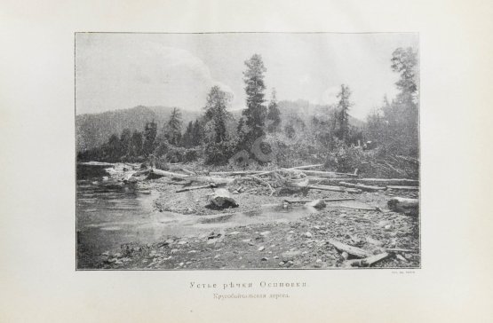 Антикварная книга Ядринцев, Н.М. Сибирь как колония в географическом, этнографическом и историческом отношении