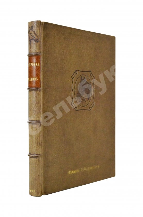 Антикварная книга Кулешов, П.Н. Тренировка рысаков