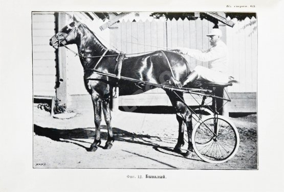 Антикварная книга Кулешов, П.Н. Тренировка рысаков