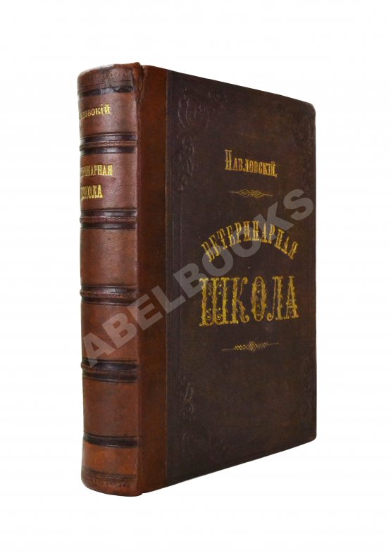 Антикварная книга Павловский, П. Общедоступная ветеринарная школа Антикварная книга Павловский, П. Общедоступная ветеринарная школа