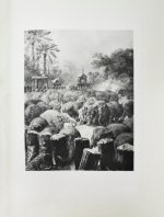 Ухтомский, Э.Э. Путешествие на Восток Его Императорского Высочества государя Наследника Цесаревича 1890-1891
