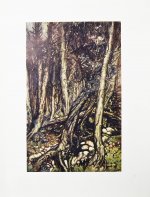 Жуковский, В.А. Ундина