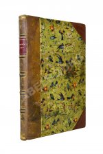 Никитин, Н.В. Петербург ночью. Бытовые очерки