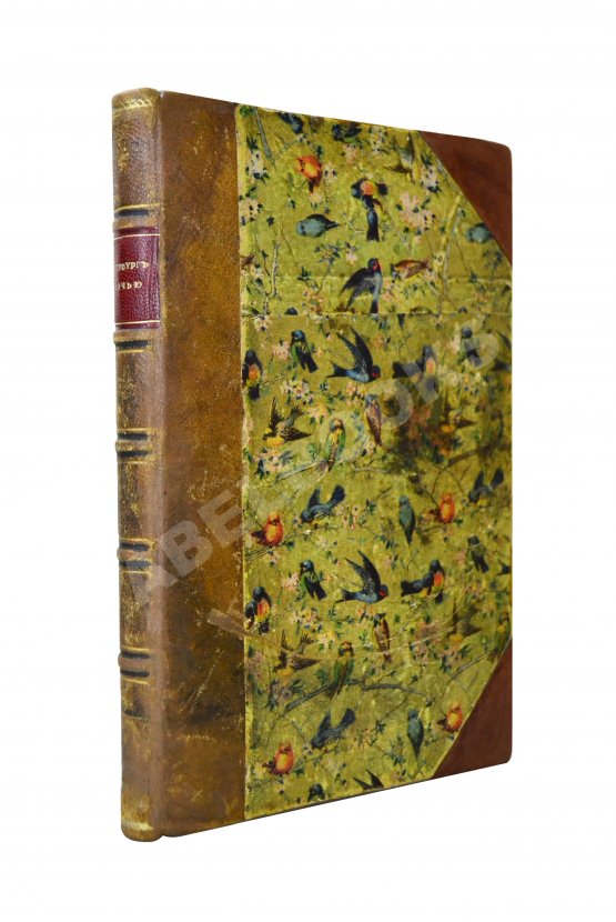 Антикварная книга Никитин, Н.В. Петербург ночью. Бытовые очерки