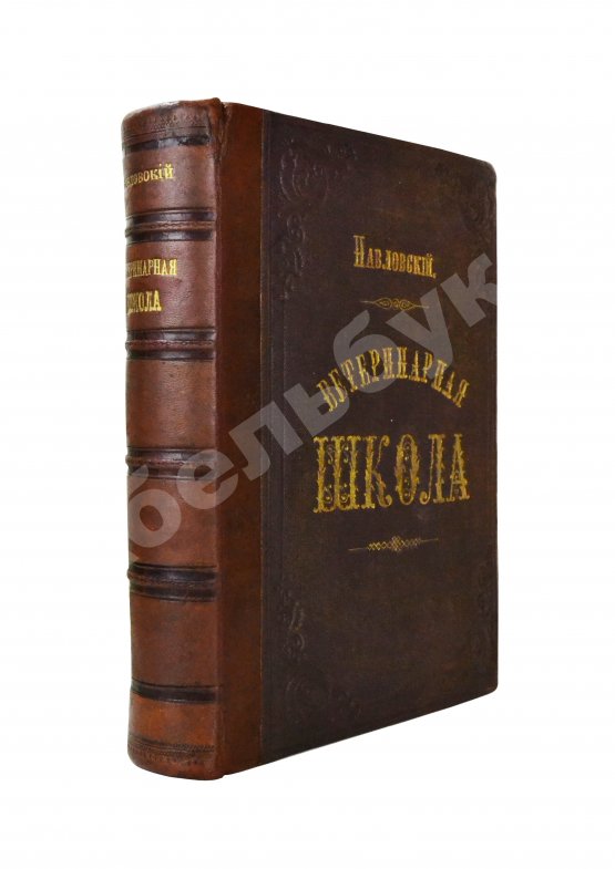 Антикварная книга Павловский, П. Общедоступная ветеринарная школа