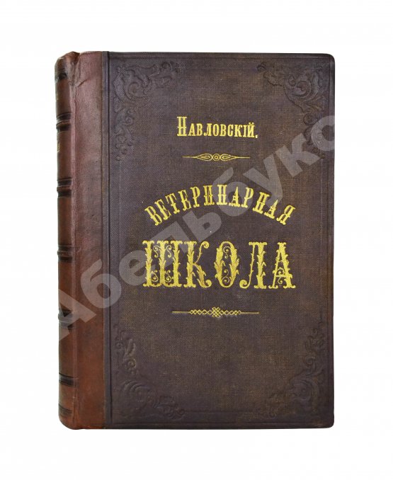 Антикварная книга Павловский, П. Общедоступная ветеринарная школа