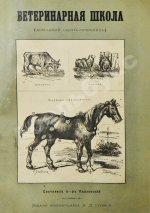 Павловский, П. Общедоступная ветеринарная школа