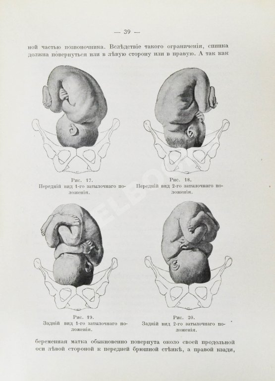 Побединский, Н.И. Краткий учебник акушерства
