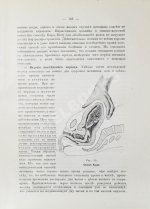 Побединский, Н.И. Краткий учебник акушерства