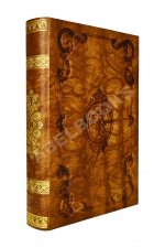 [первая публикация стихотворения Пушкина «К Чаадаеву»] Сын Отечества