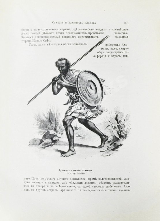 Антикварная книга Реклю, Э. Человек и земля