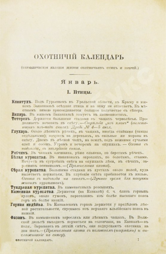 Антикварная книга Сабанеев, Л.П. Охотничий календарь. Справочная книга для ружейных и псовых охотников