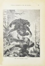 Сабанеев, Л.П. Охотничий календарь. Справочная книга для ружейных и псовых охотников