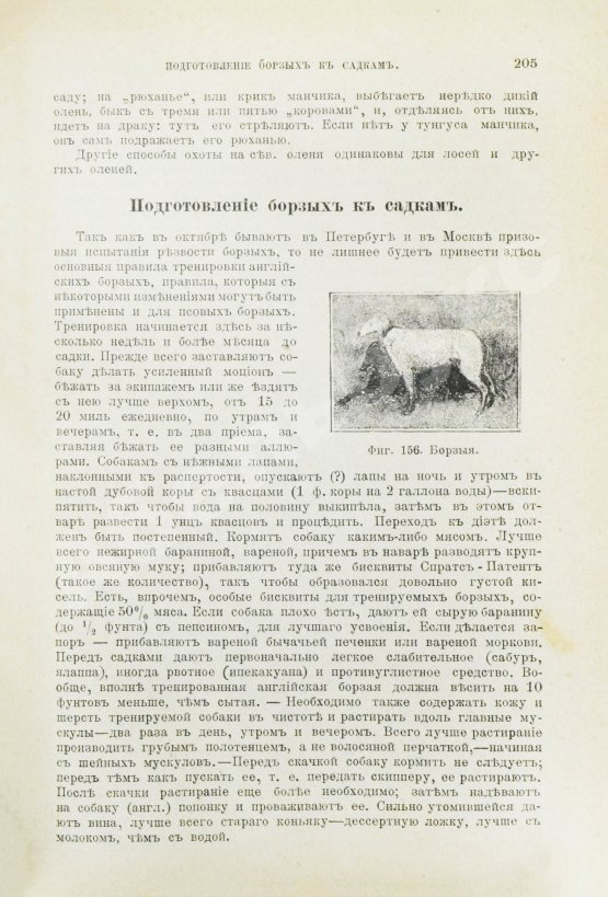 Антикварная книга Сабанеев, Л.П. Охотничий календарь. Справочная книга для ружейных и псовых охотников