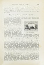 Сабанеев, Л.П. Охотничий календарь. Справочная книга для ружейных и псовых охотников