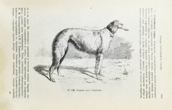 Антикварная книга Сабанеев, Л.П. Охотничий календарь. Справочная книга для ружейных и псовых охотников