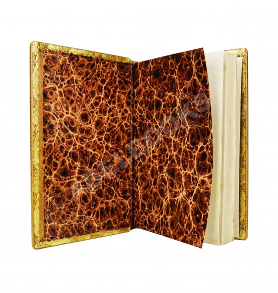 Антикварная книга Турчинович, О.В. Обозрение истории Белоруссии с древнейших времён