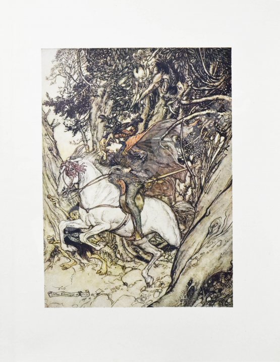 Антикварная книга Жуковский, В.А. Ундина