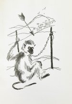 Азербайджанские тюркские сказки