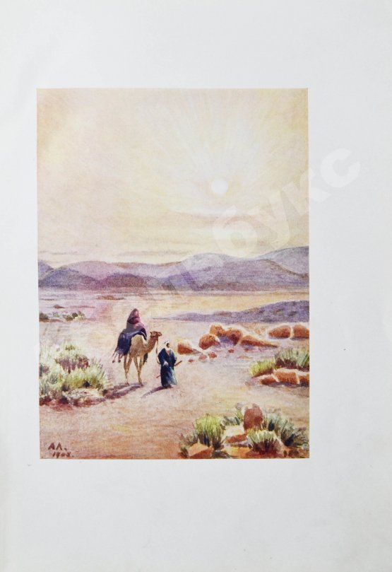 Антикварная книга Львов, А.Н. В стране Амон-Ра. (Очерки Египта)