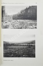 Мейстер, А.К. Горные породы и условия золотоносности Южной части Енисейского округа