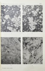 Мейстер, А.К. Горные породы и условия золотоносности Южной части Енисейского округа