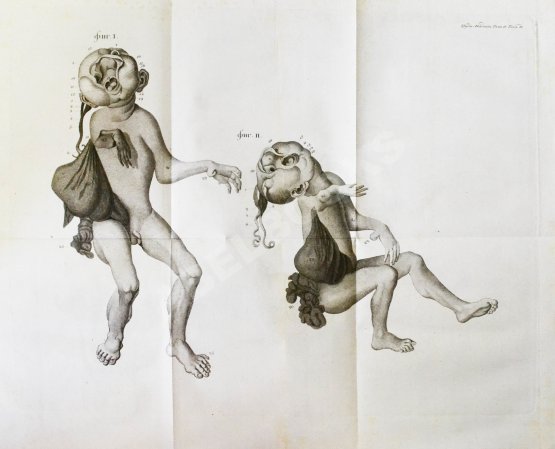 Антикварная книга Труды Академии наук