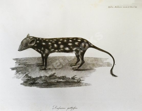 Антикварная книга Труды Академии наук