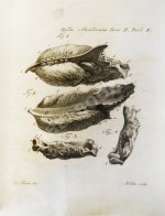 Труды Академии наук