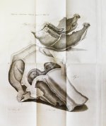 Труды Академии наук