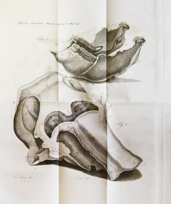 Антикварная книга Труды Академии наук