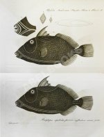 Труды Академии наук