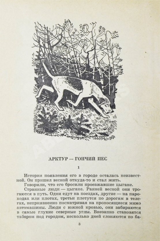 Антикварная книга Казаков, Ю.П. [автограф] Арктур - гончий пёс
