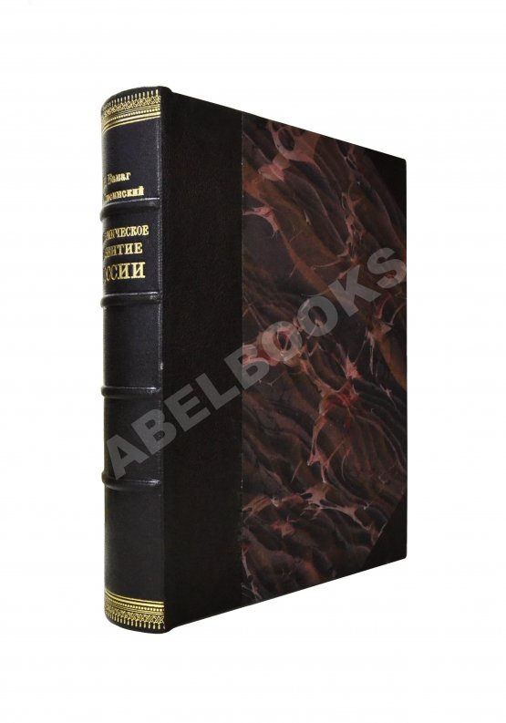 Антикварная книга Ванаг, Н.Н., Томсинский, С.Г. Экономическое развитие России