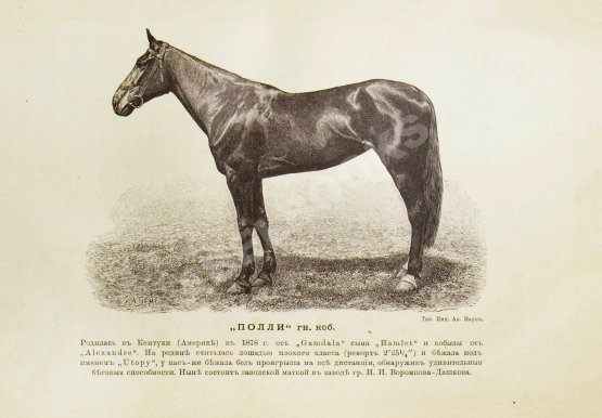 Антикварная книга Врангель, К.Г. Книга о лошади