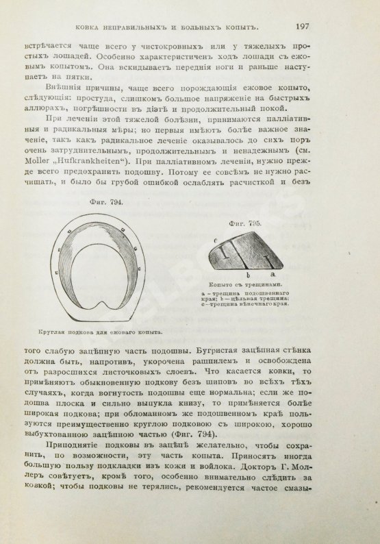 Антикварная книга Врангель, К.Г. Книга о лошади