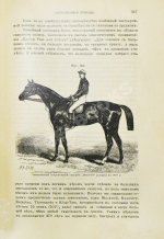 Врангель, К.Г. Книга о лошади