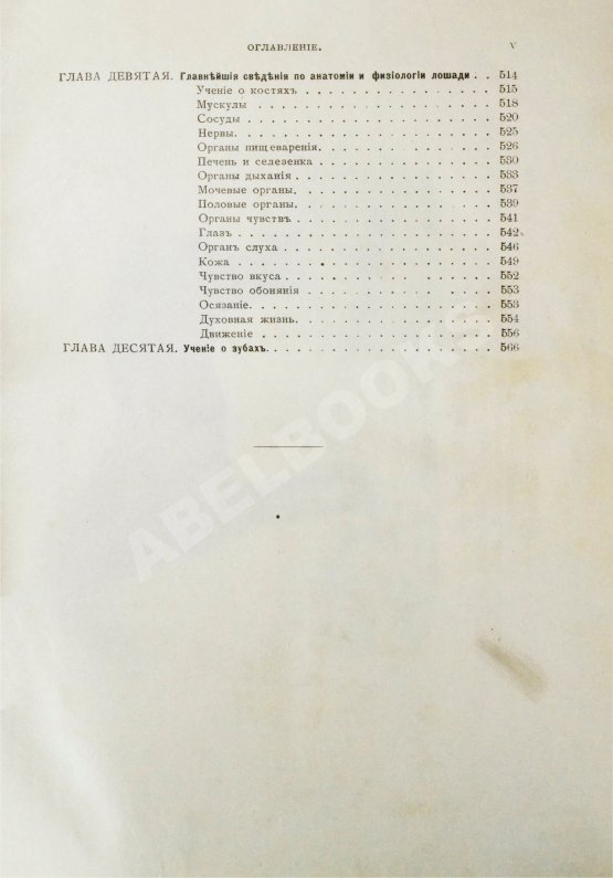 Антикварная книга Врангель, К.Г. Книга о лошади