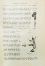 Врангель, К.Г. Книга о лошади