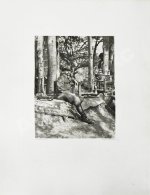 Krafft, H. A Travers le Turkestan Russe. Краффт, Г. По Русскому Туркестану