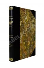 Пинес, М.Я. История еврейской литературы (на еврейско-немецком диалекте)