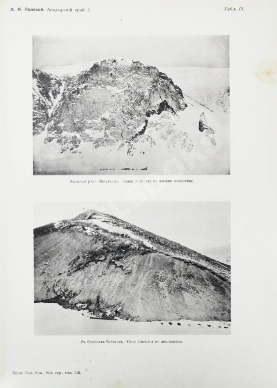 Антикварная книга Полевой, П.И. [автограф] Анадырский край